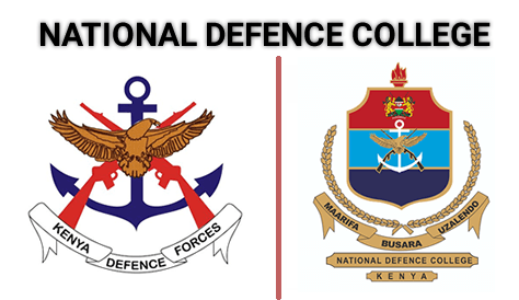 Craig Lawrence worked as part of a team from UDSS to help the Kenyan National Defence College (NDC) improve the design and implementation of their flagship strategy course